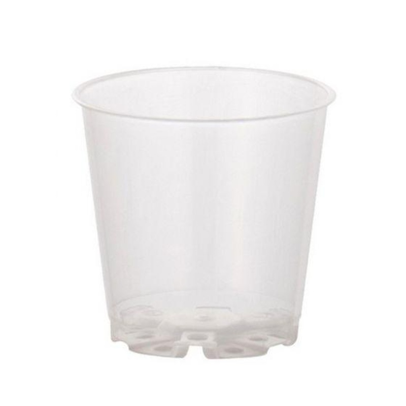 Clear Orchid Pots 6cm | Transparent Nursery Pot