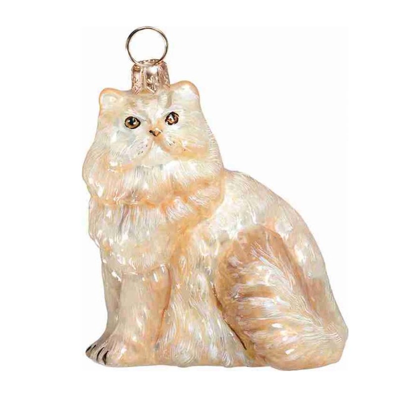 Cream Persian Cat
