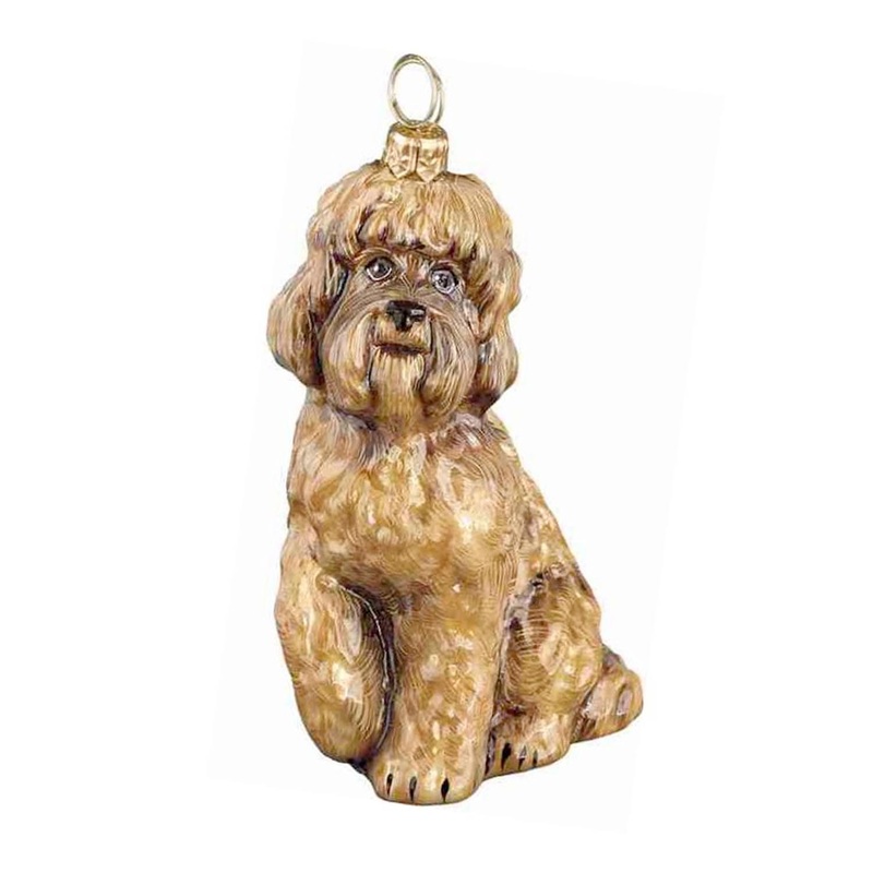 Labradoodle Brown