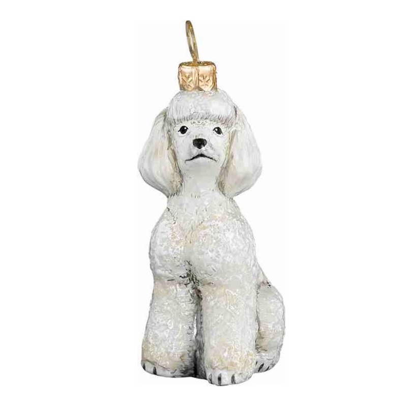 Toy Poodle White