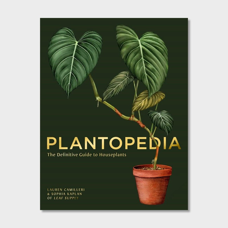 Plantopedia: The Definitive Guide to House Plants