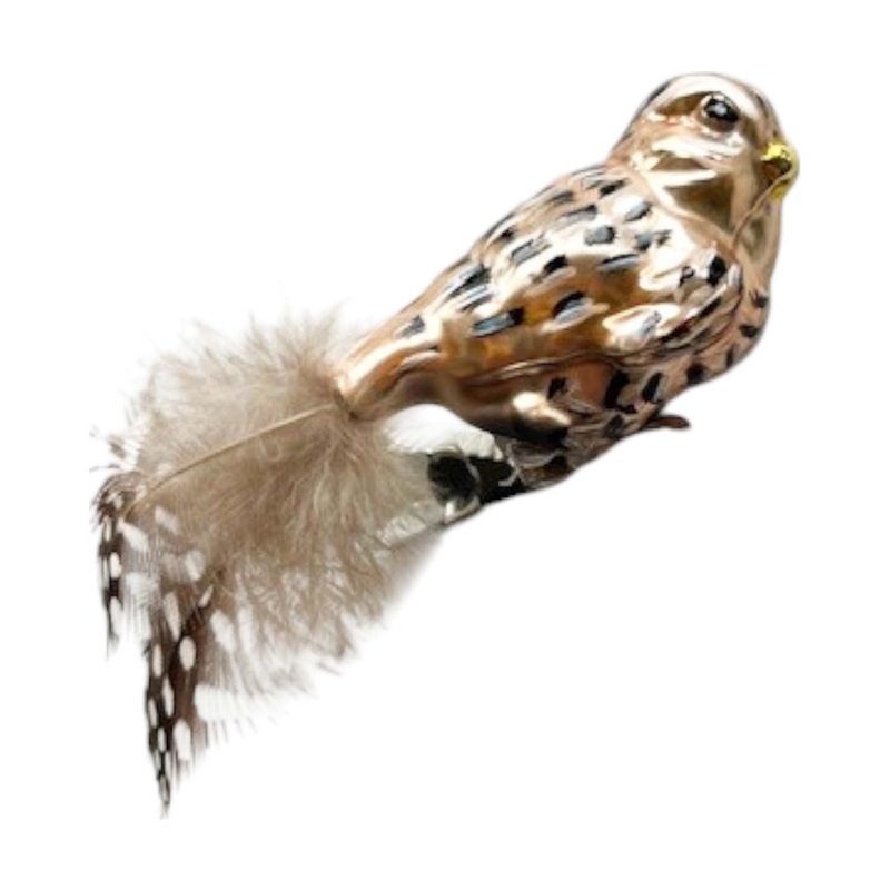 Brownish Clip Bird