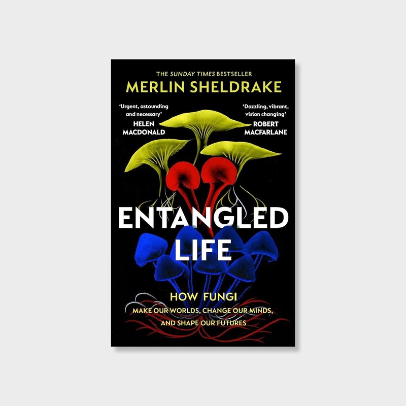 Entangled Life: How Fungi Make Our Worlds, Change Our Minds and Shape Our Futures