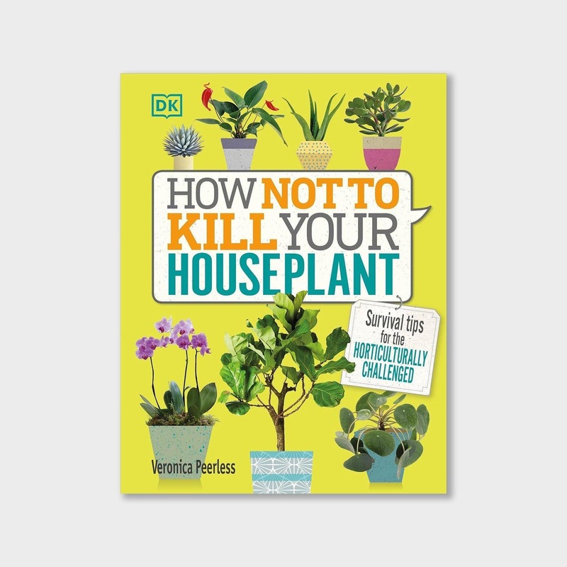 How Not to Kill Your Houseplant: Survival Tips for the Horticulturally Challenged