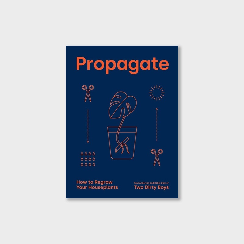 Propagate: How to Regrow your Houseplants
