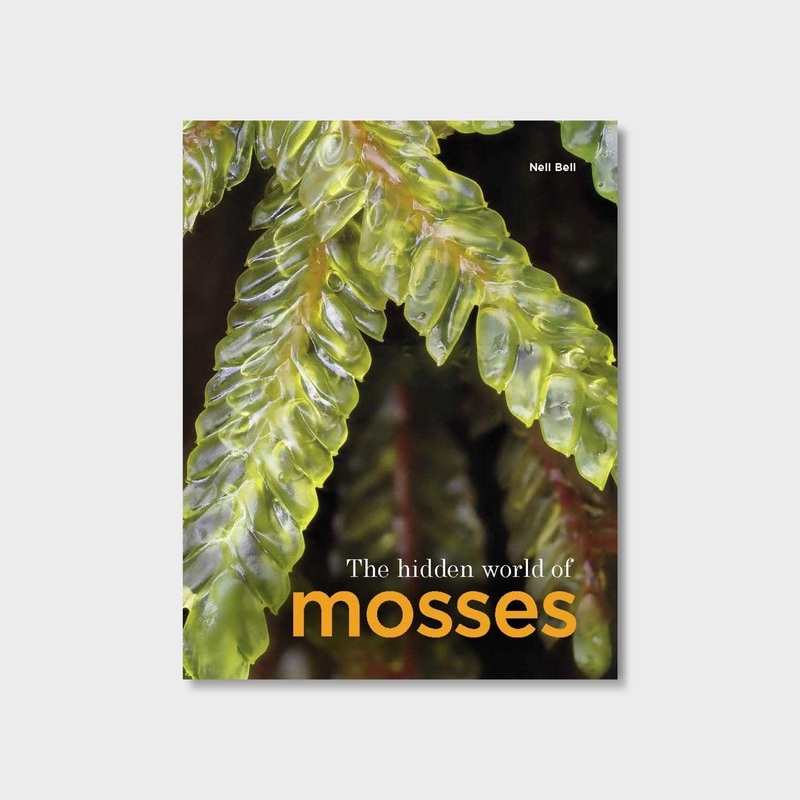 The Hidden World of Mosses