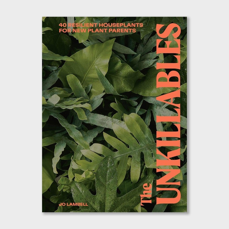 The Unkillables: 40 resilient house plants for new plant