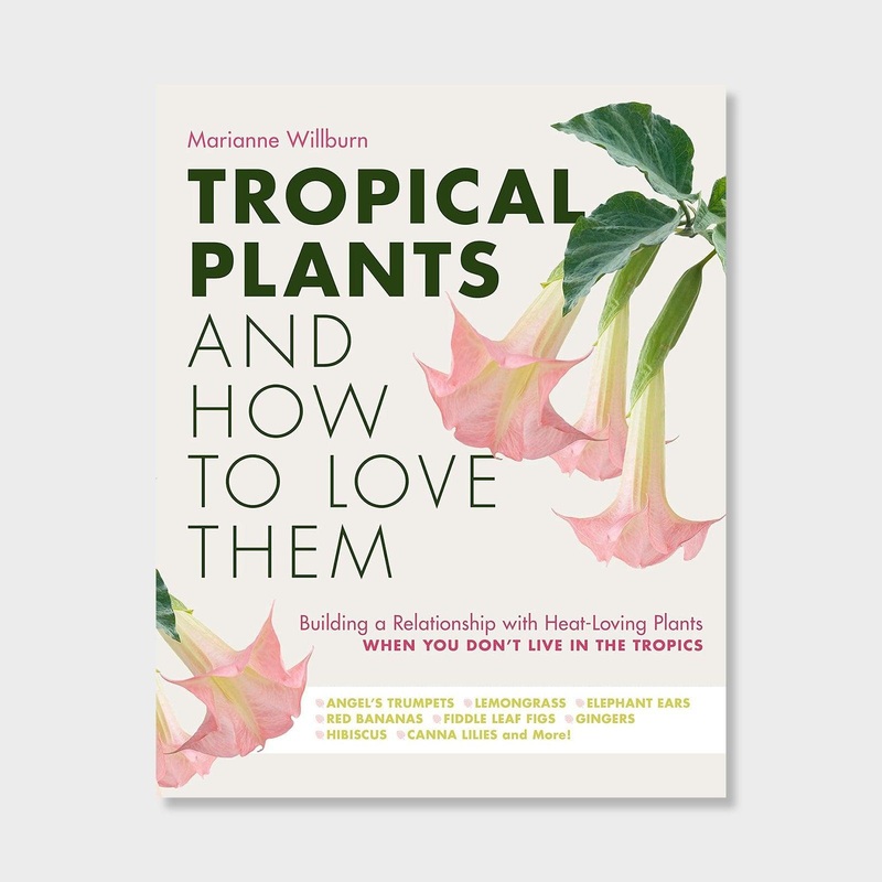 Tropical Plants and How to Love Them: Building a Relationship with Heat-Loving Plants When You Don’t Live In The Tropics