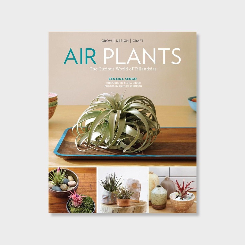 Air Plants : The Curious World of Tillandsias