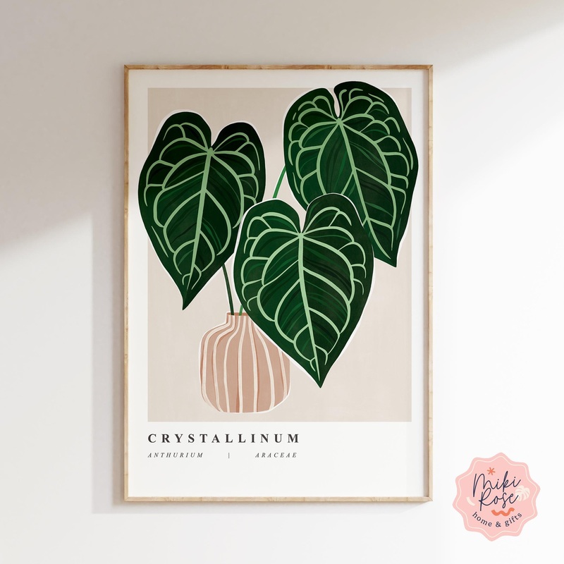 Anthurium Crystallinum Art Print