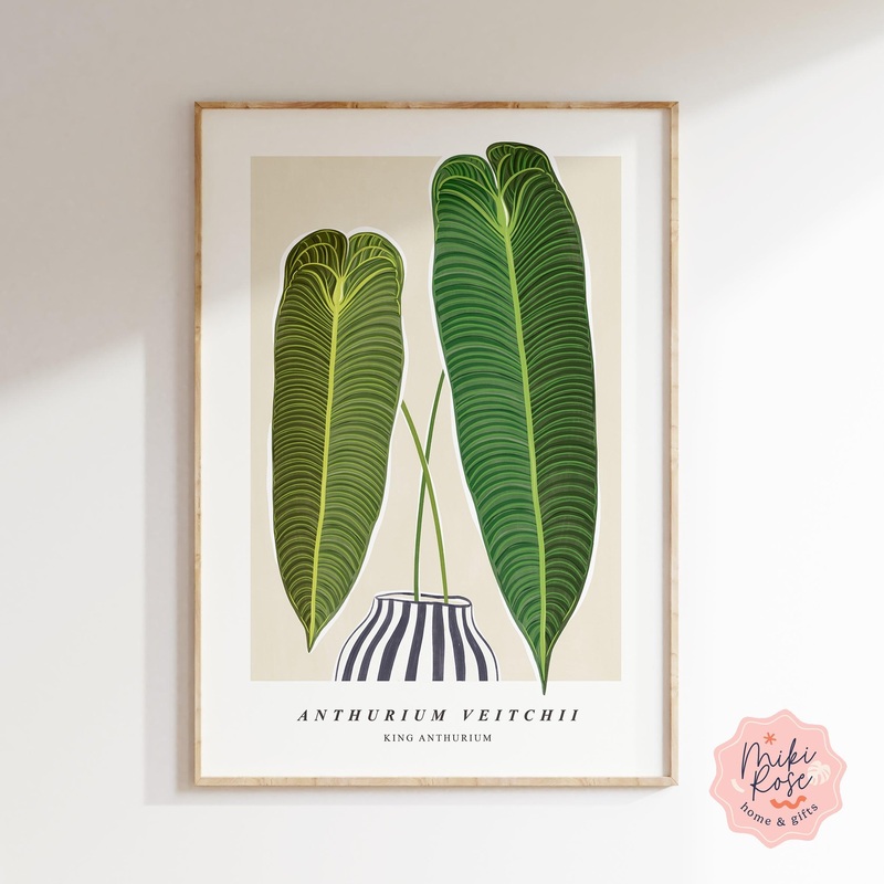 Anthurium Veitchii Art Print|A3