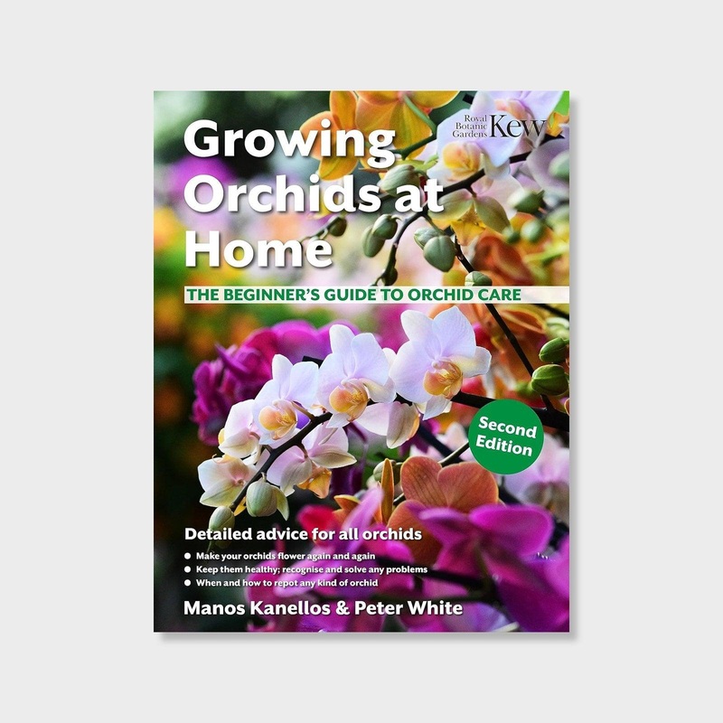 Kew: Growing Orchids at Home