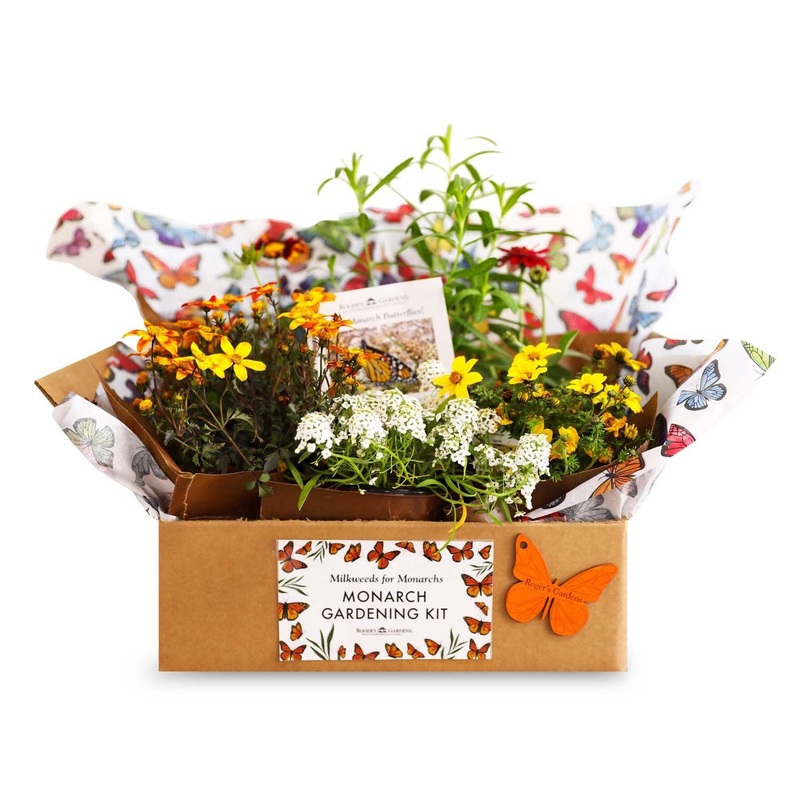 Monarch Gardening Kit
