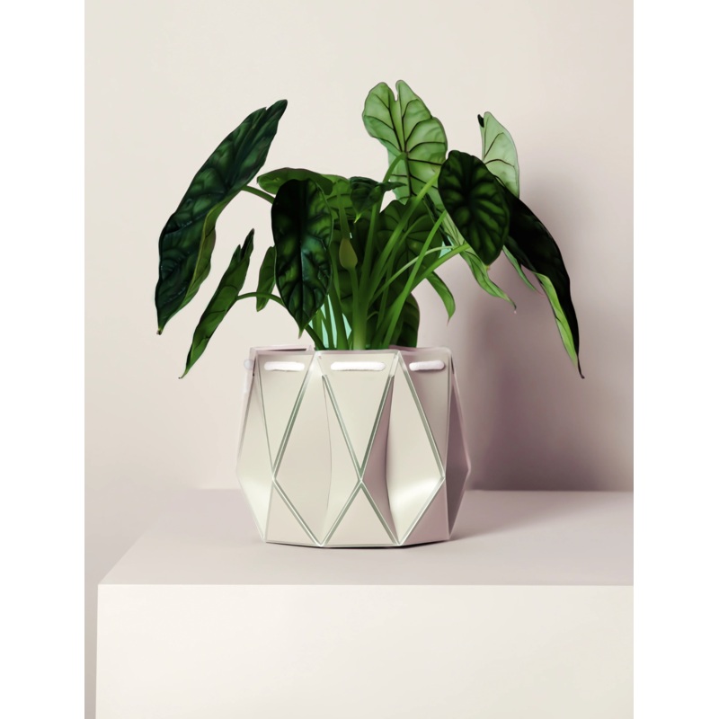 POTR Ivory White Self-Watering Pot