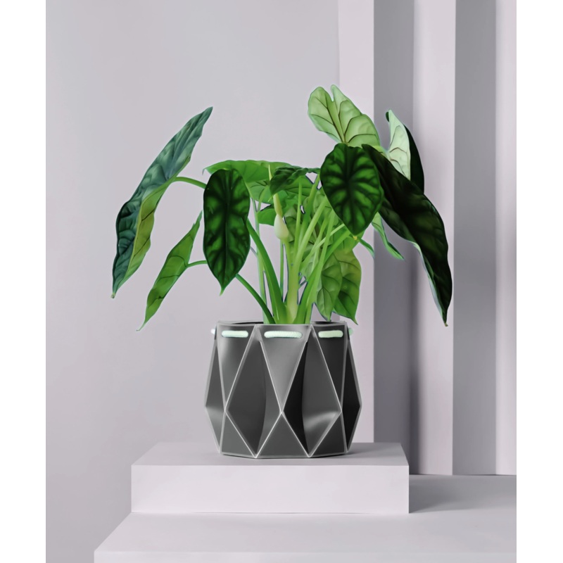 POTR Slate Grey Self-Watering Pot