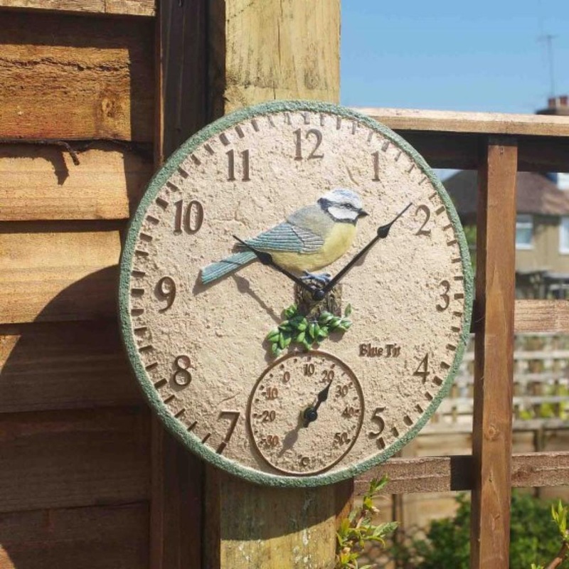 Blue Tit 12