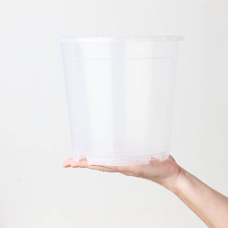 Clear Orchid Pots 19cm | Transparent Nursery Pot