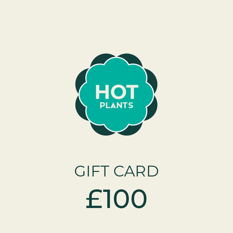 100 Hot Plants Gift Card|100.00