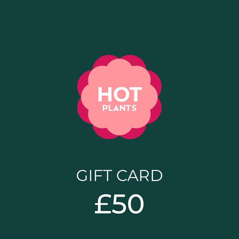 50 Hot Plants Gift Card|50.00