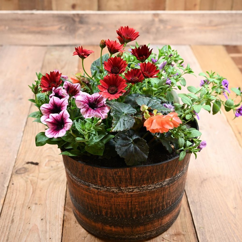 30Cm Whiskey Barrel