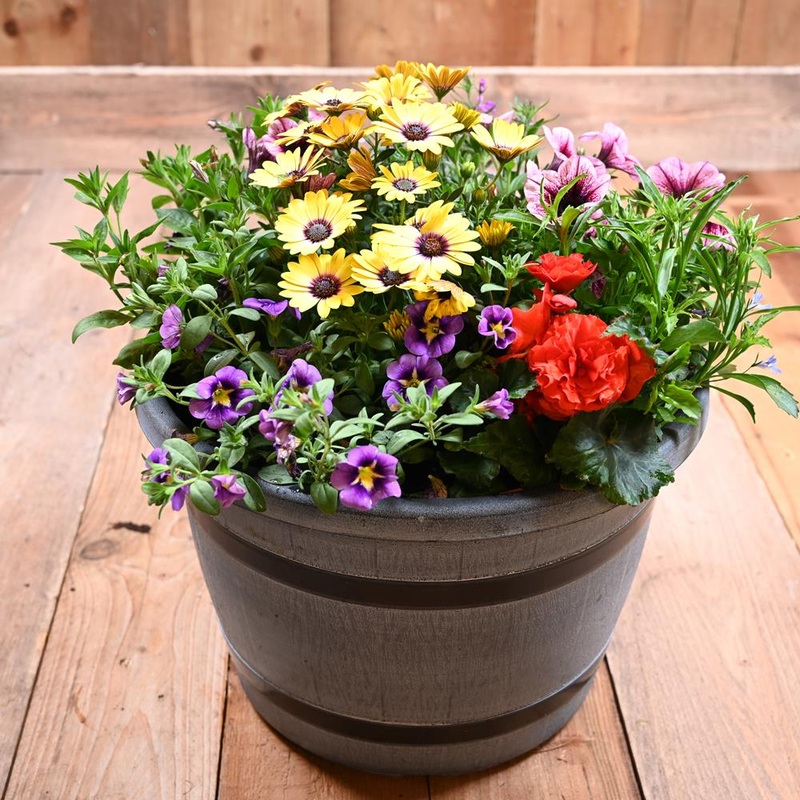 40Cm Barrel Planter