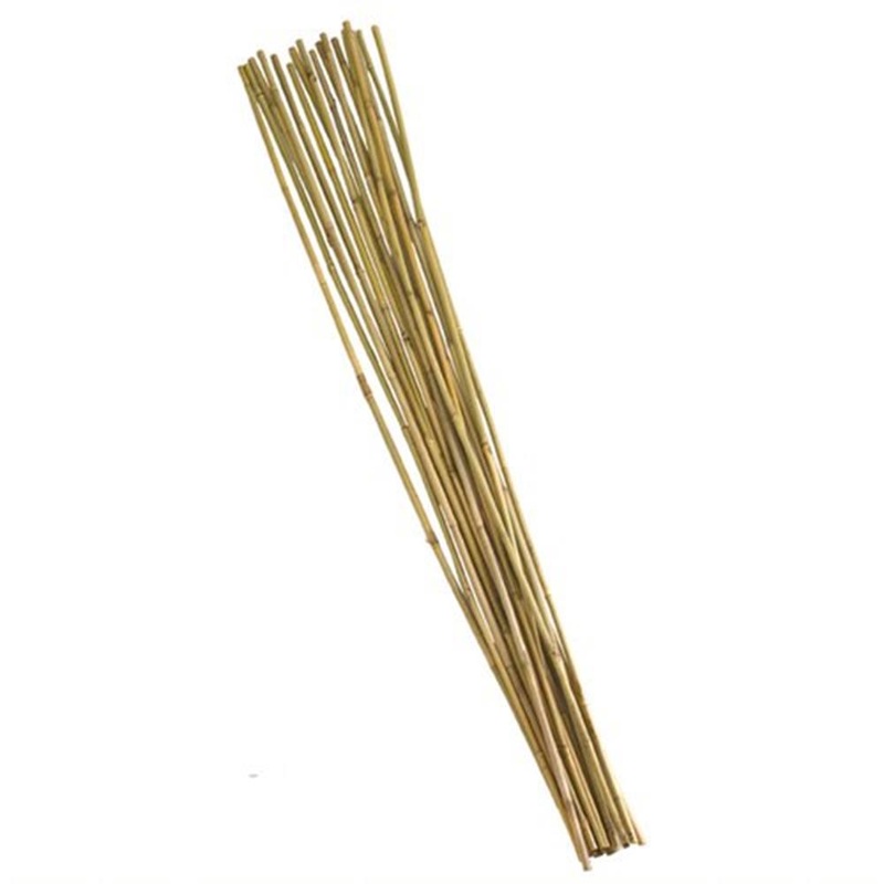 Bamboo Canes – Extra Thick 1.8 Pack Of Ten