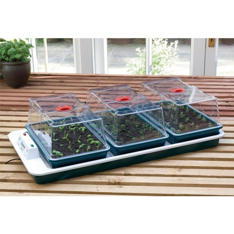 Big 3 Automatic Temperature Control Electric Propagator
