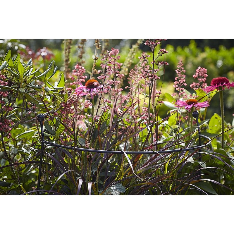 Cottage Garden Arc – Large