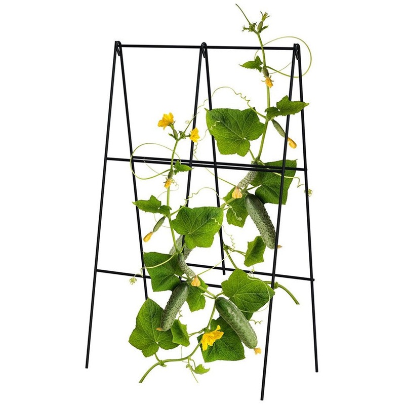 Folding A-Frame Cucumber Trellis – Black