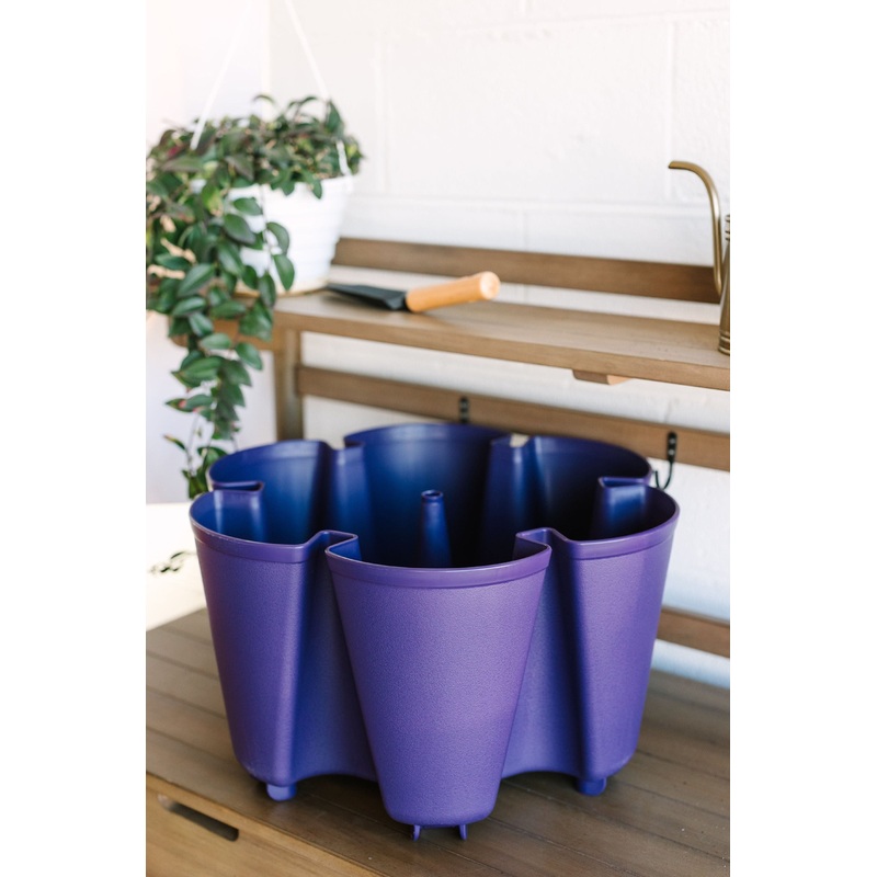Individual Original Planter | Blackberry (Basic Texture)