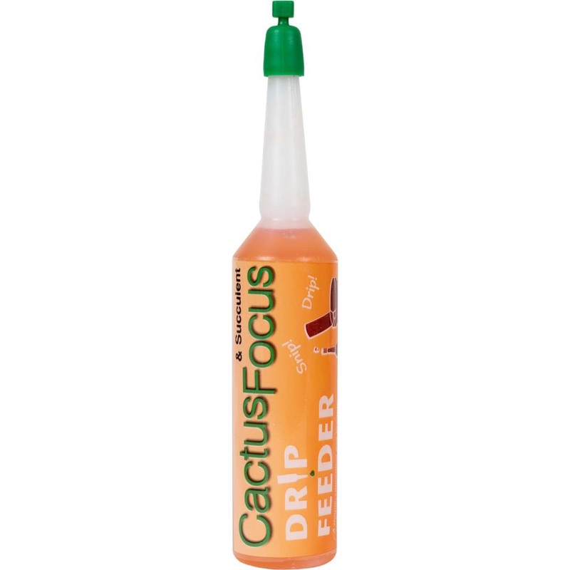 Cactus Focus Drip Feeders 38ml – Single