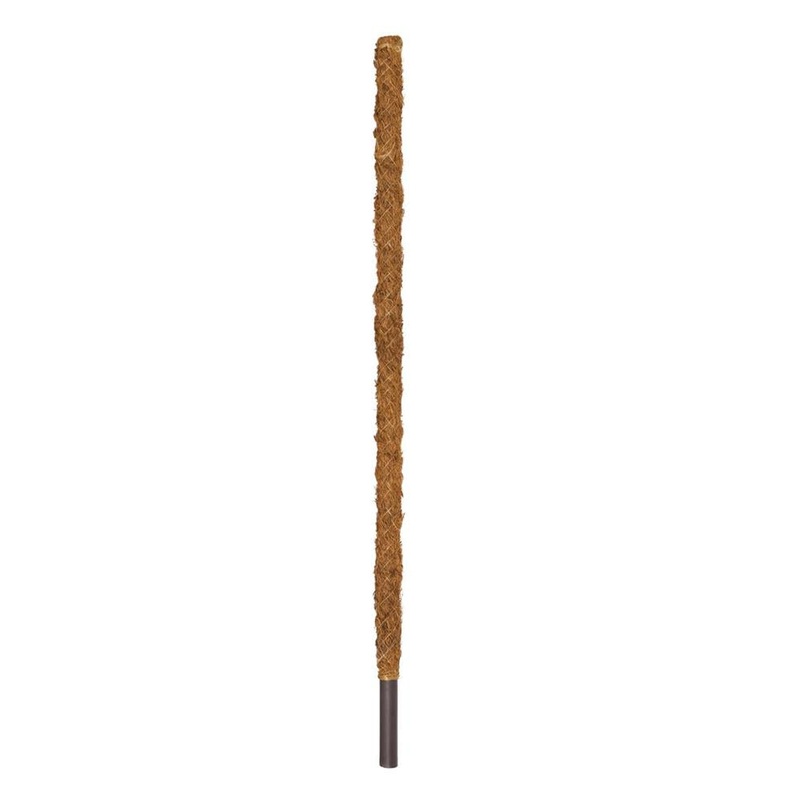 Coir pole 70cm