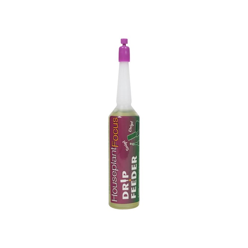 Houseplant Focus Drip Feeders 38ml – Single