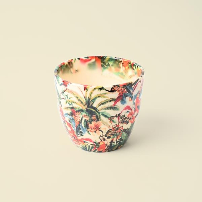 MONZA TROPICAL PARROT H15.5CM D15.5CM
