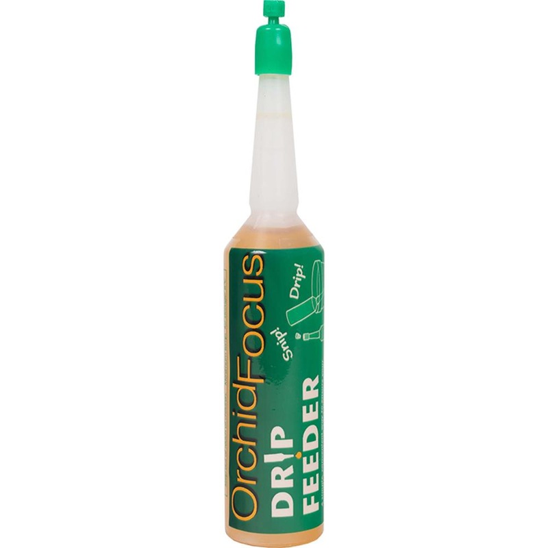 Orchid Focus Drip Feeders 38ml – Single