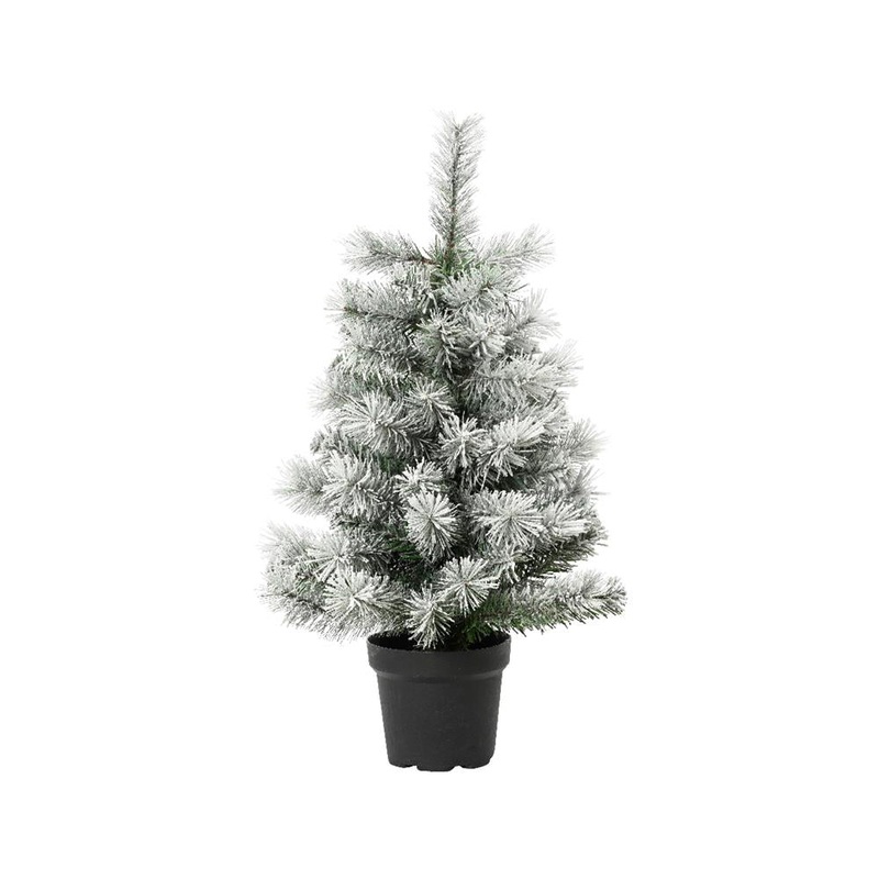 Canada Mini Tree Frosted