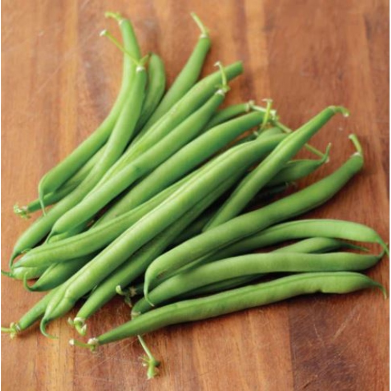 BEAN ‘Antigua’|6-pack