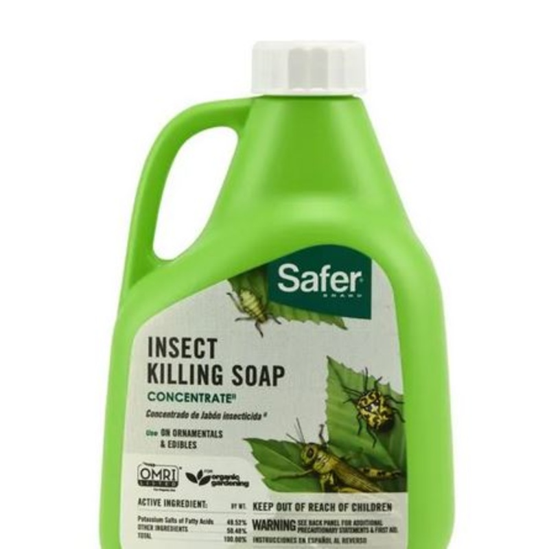Concentrated Insecticidal Soap