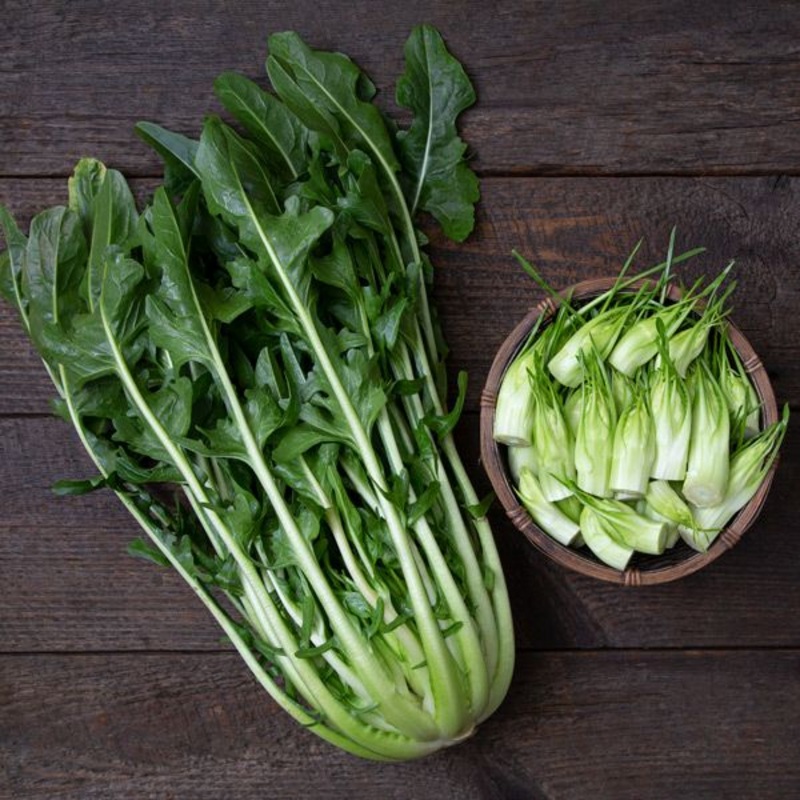 DANDELION GREENS ‘Fiamma Verde Puntarelle’ –Cicorium intybus var. foliosum–