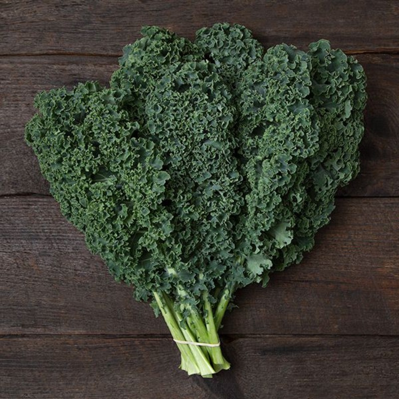 KALE ‘Arun’|4″ square pot