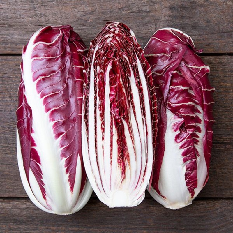RADICCHIO ‘Braci Ardenti Radicchio’