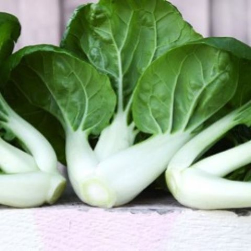 ASIAN GREENS ‘Baby Milk Bok Choy’
