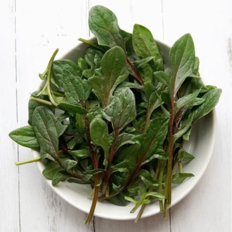 SPINACH ‘Red Snapper’|4″ square pot