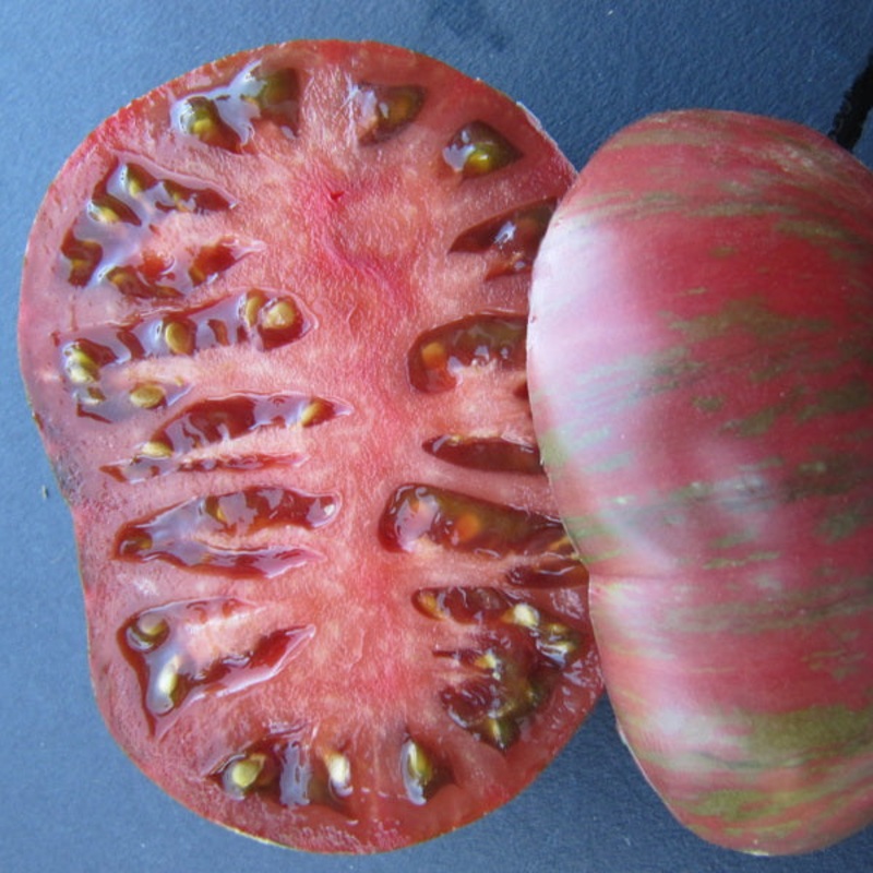 TOMATO ‘Dark Queen’|4″ square pot