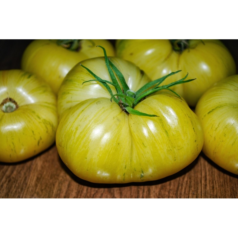TOMATO ‘Pineapple Pig’|4″ square pot