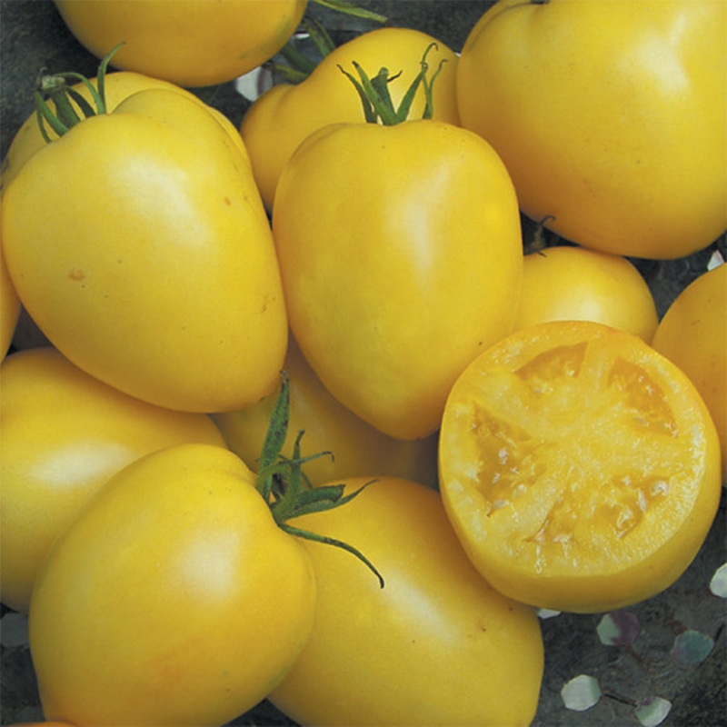 TOMATO ‘Powers Heirloom’|4″ square pot