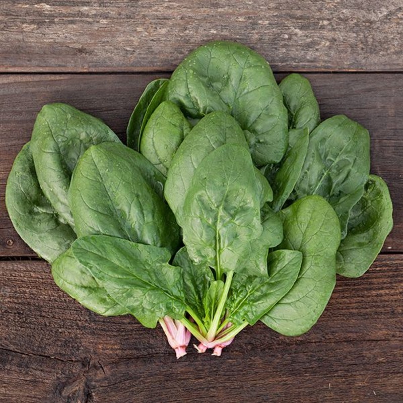 SPINACH ‘Corvair’|4″ square pot