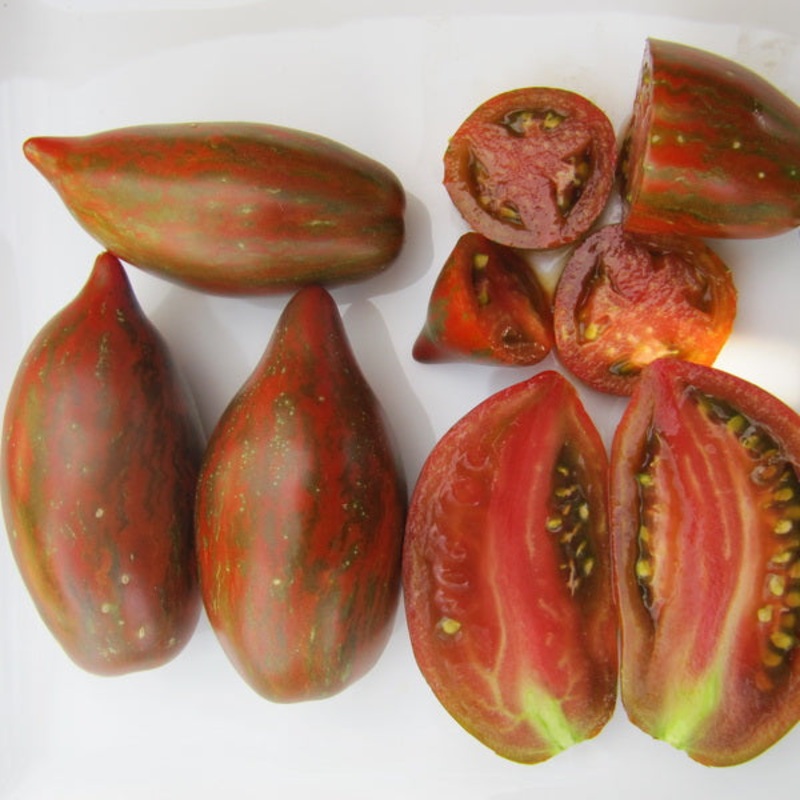 TOMATO ‘Boar’s Tooth’|4″ square pot