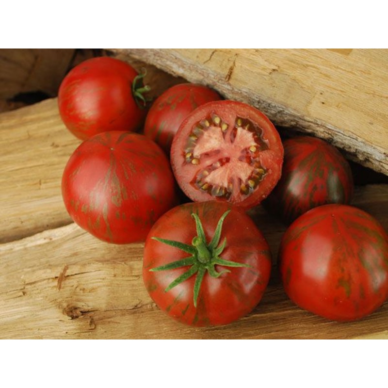 TOMATO ‘Pink Boar’|1 GALLON pot