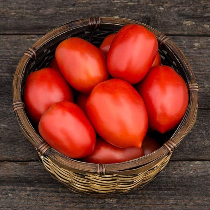 TOMATO ‘Plum Perfect’|4″ square pot
